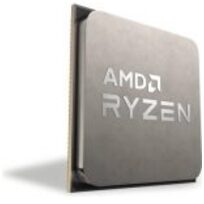 AMD 100-000000061