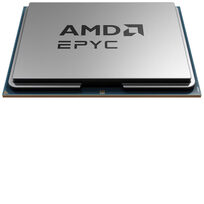 AMD 100-000001133