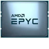 AMD 100-000001235