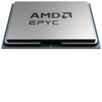 AMD 100-000001284