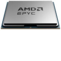 AMD 100-000001285