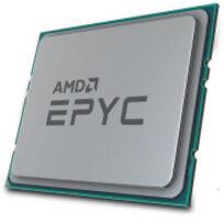 AMD 100-000001481