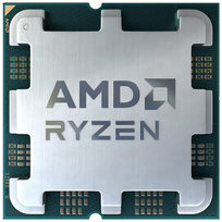AMD 100-100000253BOX
