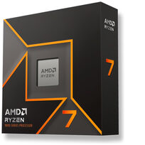 AMD 100-100001404WOF