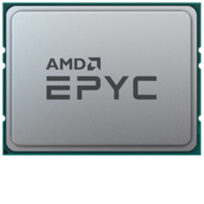 AMD 100-100001558WOF