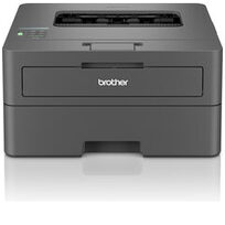 Brother HLL2400DWERE1