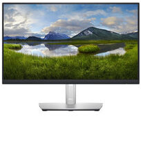 Dell DELL-P2222H