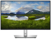 Dell DELL-P2225H