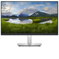 Dell DELL-P2422HE