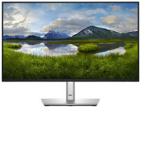 Dell DELL-P2425HE