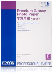 Epson C13S042091