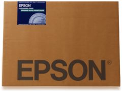 Epson C13S042110