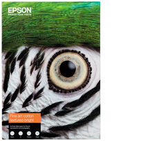 Epson C13S450289NQ