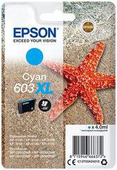 Epson C13T03A24010
