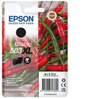 Epson C13T09R14020