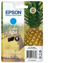 Epson C13T10G24020