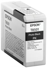 Epson C13T850100