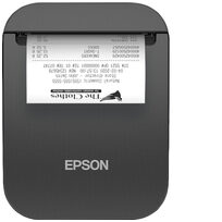Epson C31CK00132