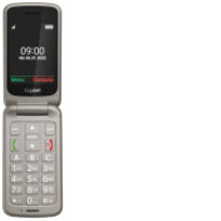 Gigaset S30853-H1231-R102