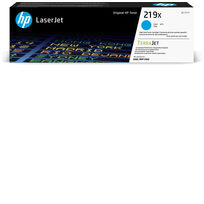 HP W2191X