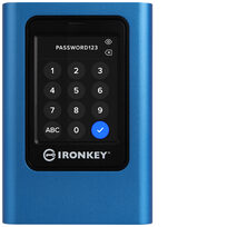 Kingston IKVP80ES/960G