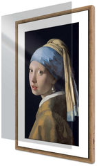 Netgear MCAP321-10000S