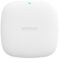 Netgear WAX210-100EUS