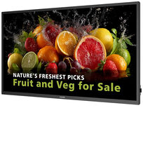 Philips 50BDL5050D/00