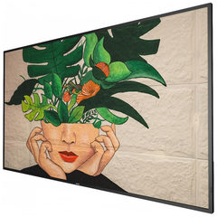 Philips 55BDL4511D/00