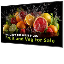 Philips 65BDL5050D/00