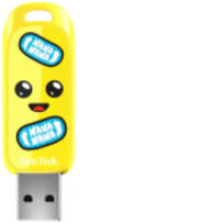 Sandisk SDCZIF-128G-G46