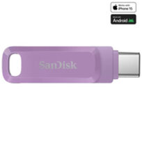 Sandisk SDDDC3-512G-G46L
