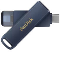 Sandisk SDIXD0N-128G-GN6NE