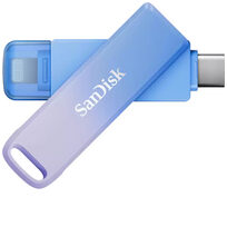 Sandisk SDIXD0N-256G-GN6TP