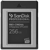 Sandisk SDPCVN4-256G-GNANN