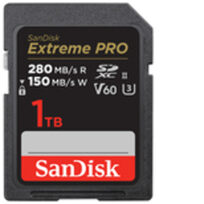 Sandisk SDSDXEP-1T00-GN4IN