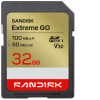 Sandisk SDSDXGN-032G-GNCIN