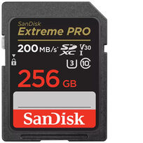 Sandisk SDSDXXD-256G-GN4IN