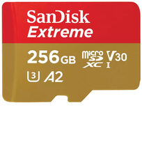 Sandisk SDSQXAV-256G-GN6GN