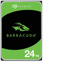 Seagate ST24000DM001