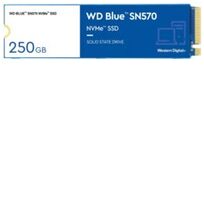Western Digital WDS250G3B0C