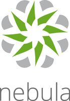 ZyXEL LIC-NPRO-ZZ1Y00F